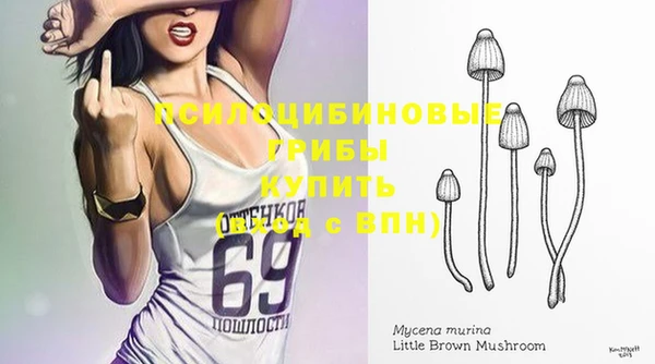 гидра Белокуриха