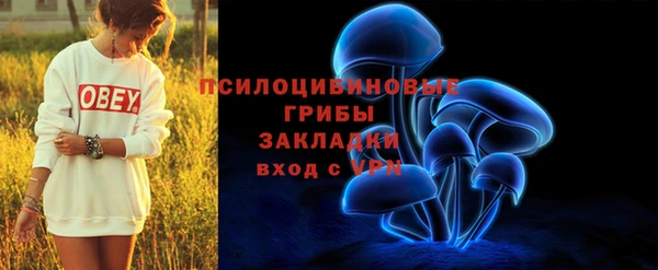 гидра Белокуриха