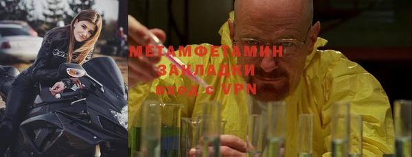 гидра Белокуриха