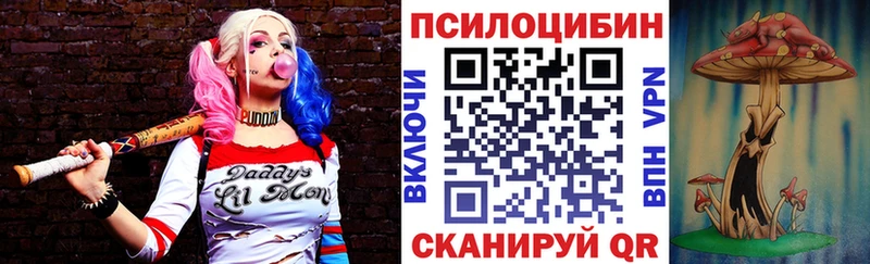 MEGA ссылка  Сковородино  Псилоцибиновые грибы GOLDEN TEACHER 